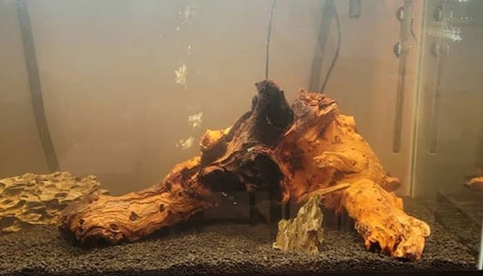 Barna akvárium víz