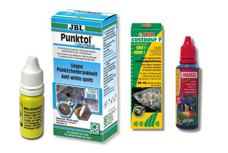 Darakór elleni gyógyszerek