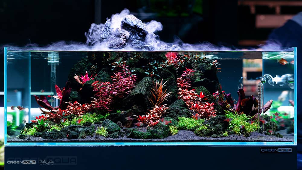 Greenaqua akváriumok bemutatóterem