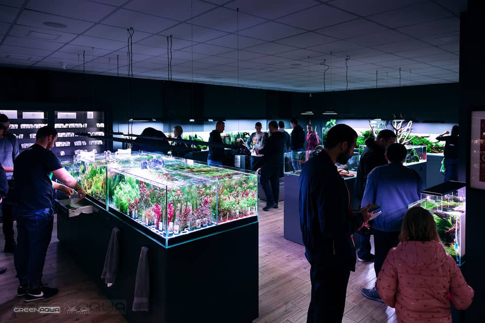 Greenaqua akváriumok bemutatóterem