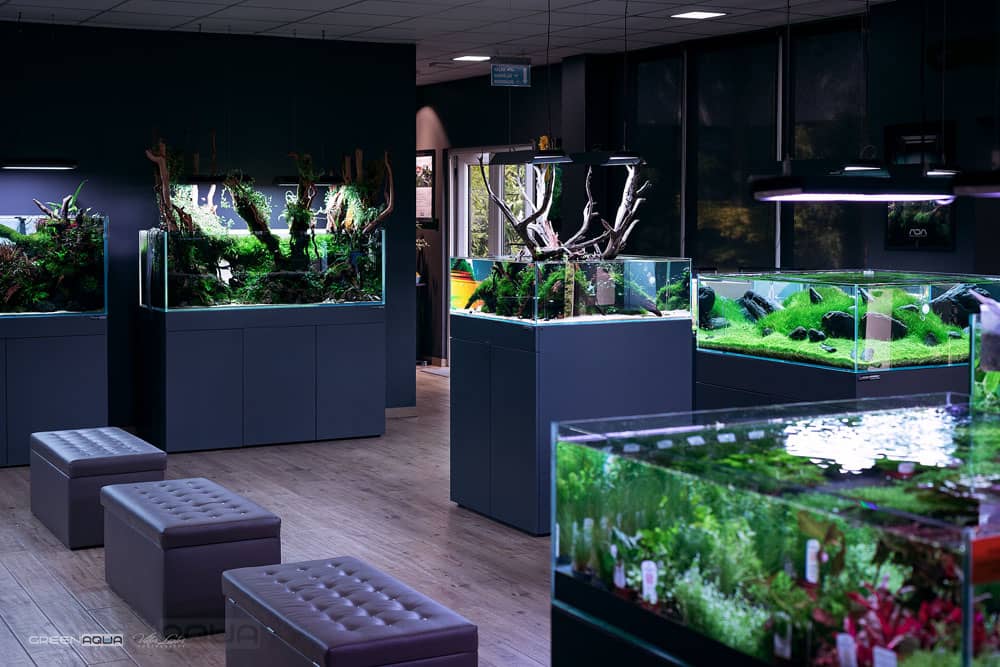 Greenaqua akváriumok bemutatóterem