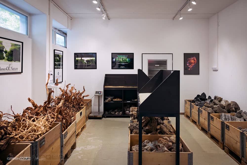 Greenaqua akváriumok bemutatóterem