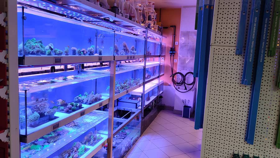 Halak és növények