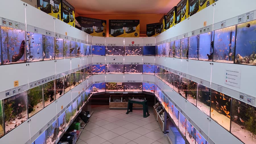 Halak és növények