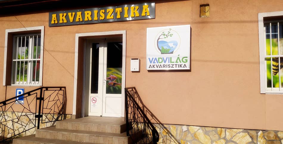 Vadvilág Akvarisztika 1164 Budapest, Georgina u. 1.