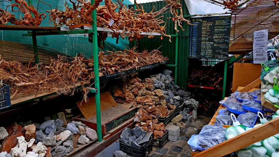 Régi Vadvilág Akvarisztika 