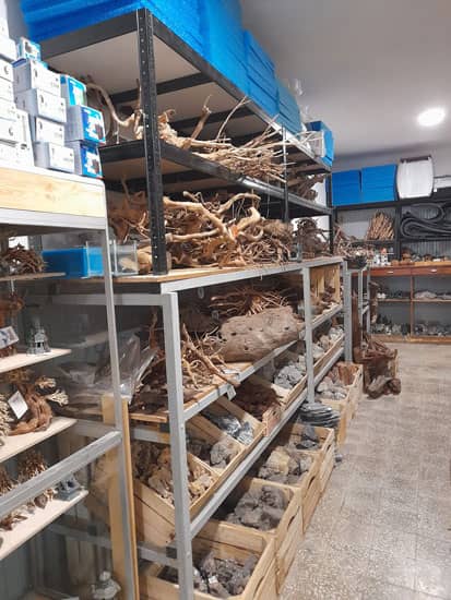 Vadvilág Akvarisztika eladó tér