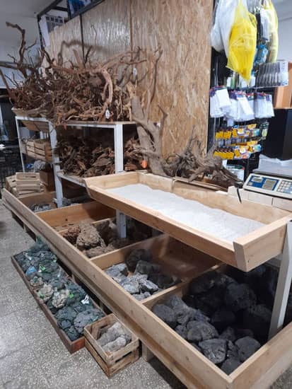 Vadvilág Akvarisztika eladó tér