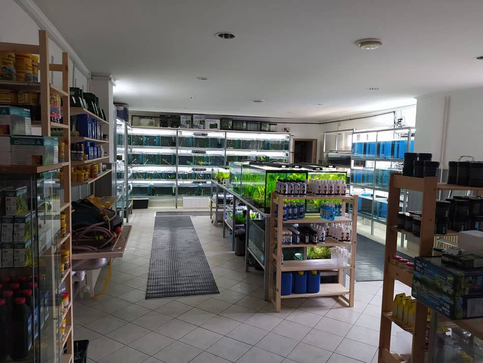 Vadvilág Akvarisztika eladó tér