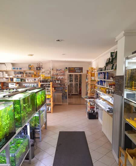 Vadvilág Akvarisztika eladó tér