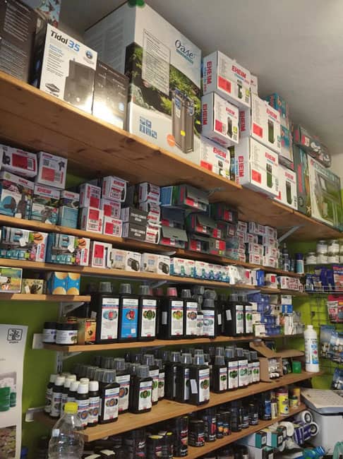 Régi Vadvilág Akvarisztika 