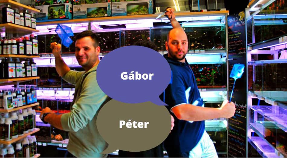 Vadvilág Akvarisztika Gábor, Péter